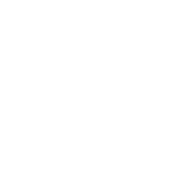 Logo Festival de verano