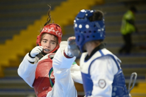 El taekwondo en los I Juegos Distritales de la Juventud.